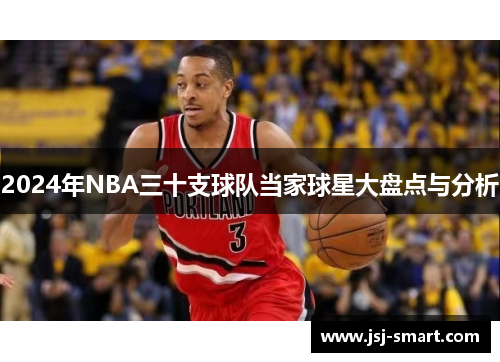 2024年NBA三十支球队当家球星大盘点与分析