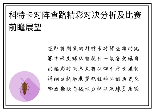 科特卡对阵查路精彩对决分析及比赛前瞻展望